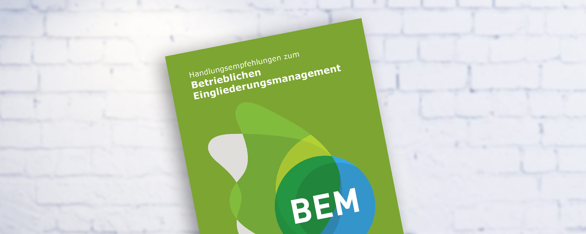 Cover einer LVR-Publikation mit Handlungsempfehlungen zum BEM.